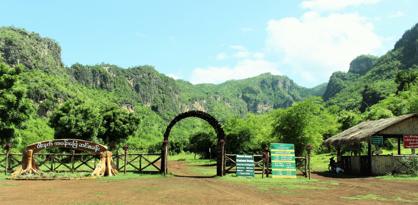 Wanet Elephant Camp, Latkaung village flower market, Shan mountain ranges, natural woods