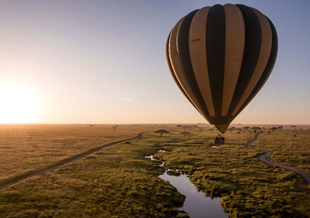 Serengeti National Park, Ruaha National Park, meandering river courses, baobab tree