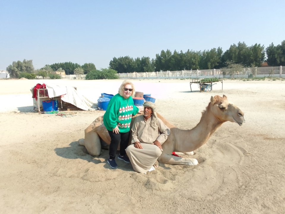 Al Fateh Grand Mosque, Bahrain National Museum, Royal Camel Farm, Bahrain Fort