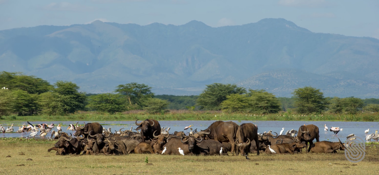 Serengeti plains, Ngorongoro Crater, Maasai village