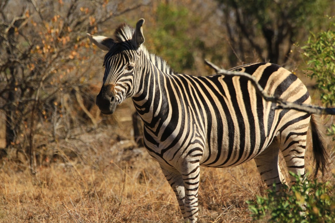 Port Shepstone Game Reserve, mountains of KwaZulu-Natal, Port Shepstone