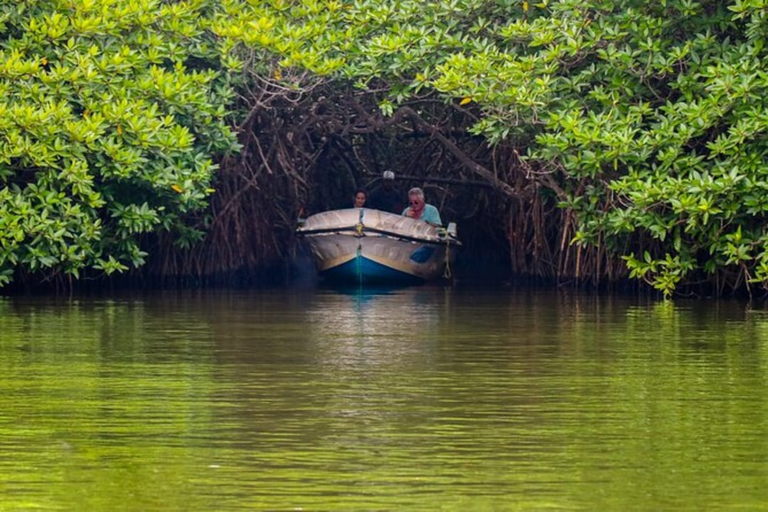 Galle Fort, Coral Garden boat trips, Madu River mangroves