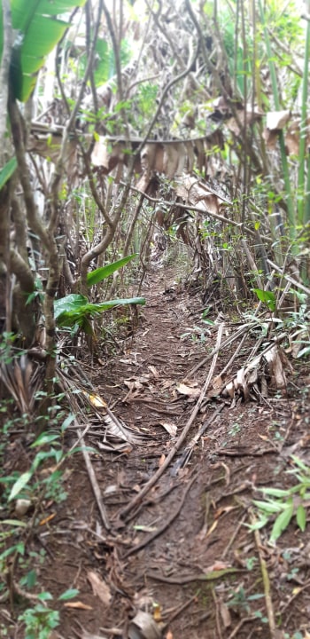 Lion Mountain silhouette, Battle of Grand Port site, Curepipe and Mahébourg trailheads