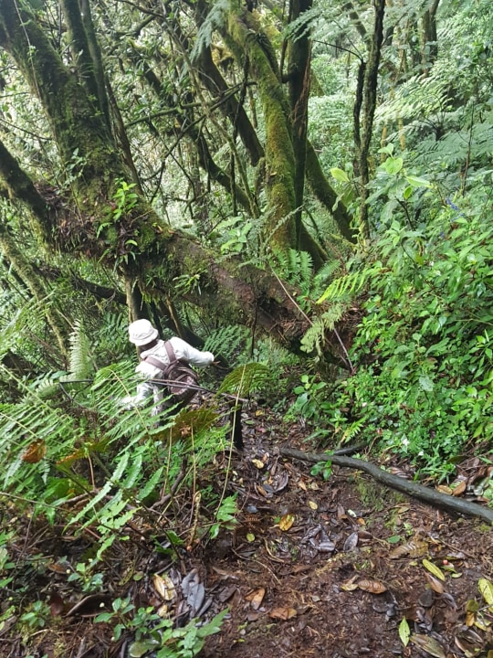 Jiwe La Duma, Lupanga Peak, Uluguru Mountains ridge-top forest, Morogoro farmlands