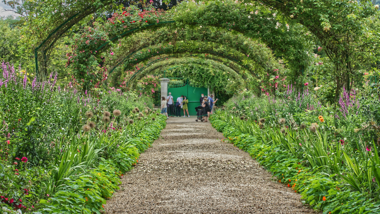 Monet's house and gardens, the serene lily pond, the iconic Japanese bridge, Notre Dame Cathedral