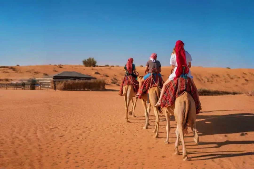 Arabian Desert, Dubai's Golden Dunes, Dubai - United Arab Emirates
