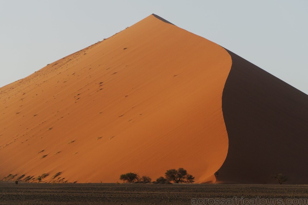 Dune 45, Dead Vlei, Cape Cross Reserve