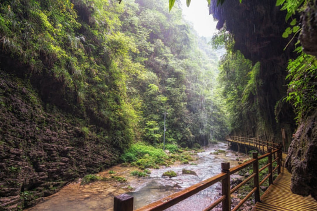 Bailong Elevator, Yuanjiajie Mountain cliffs, Tianzi Mountain's Xihai Stone Forest, Zhangjiajie Grand Canyon Glass Bridge