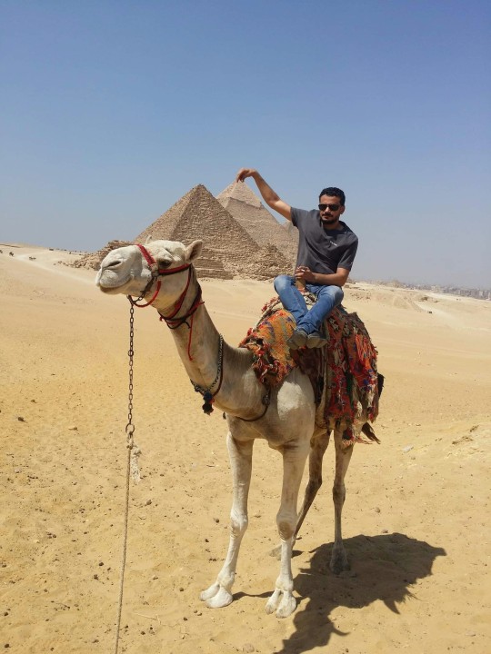Giza Plateau, Great Pyramid of Giza, Great Sphinx of Giza, Cairo bazaars