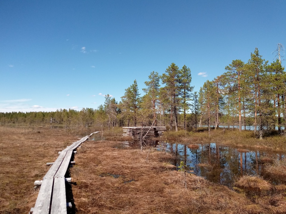 Posio lakeside campsites, the lake, Adventure Apes Lodge