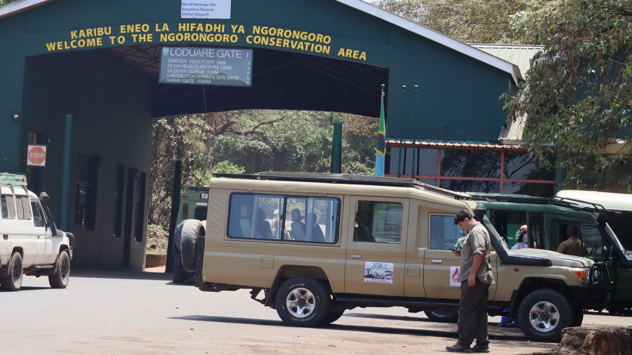Tarangire National Park baobab-filled savannah, Ngorongoro Crater soda lakes and grasslands, Serengeti National Park endless plains