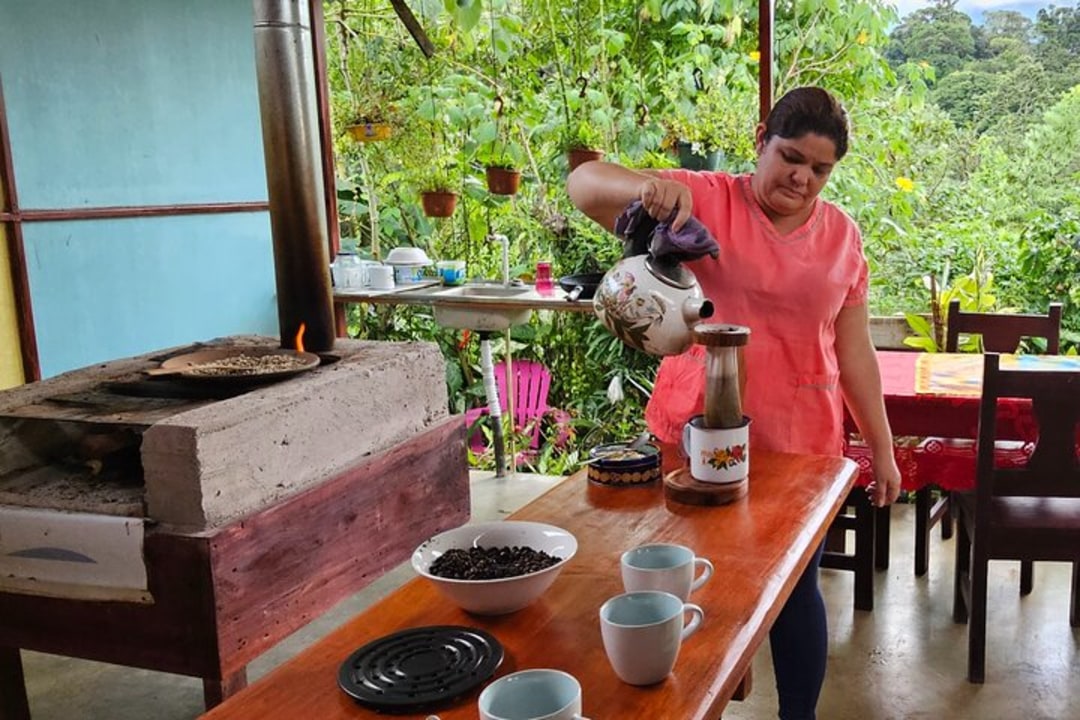Finca Verde forest trails, Vida Nueva coffee farm, Bijagua