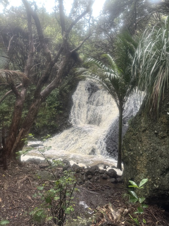 Piha, Karekare Waterfall, black volcanic surf beaches