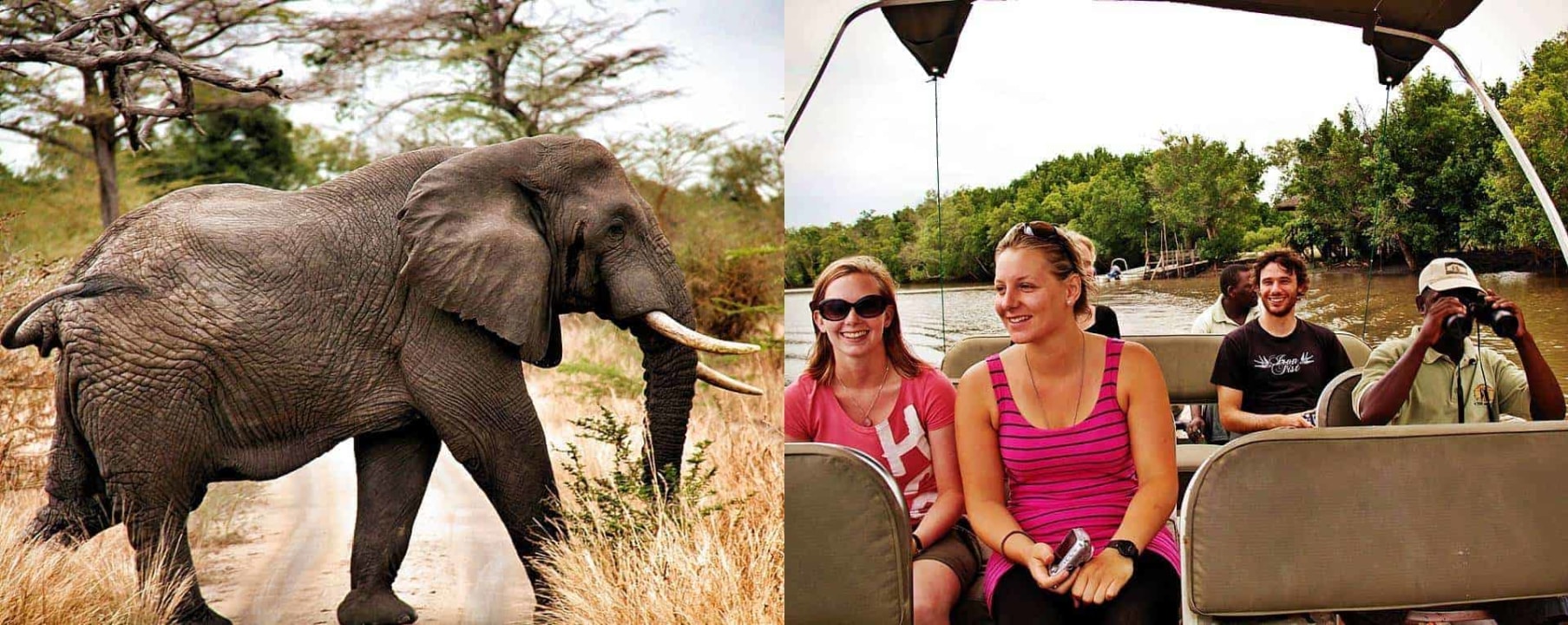 Selous Game Reserve, game drives for elephants and lions, boat safari with hippos and crocodiles, flight from Zanzibar