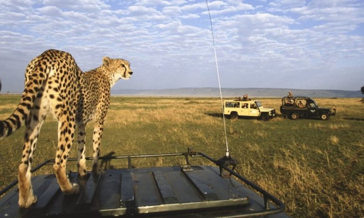 Masai Mara, Mara River, Great Rift Valley