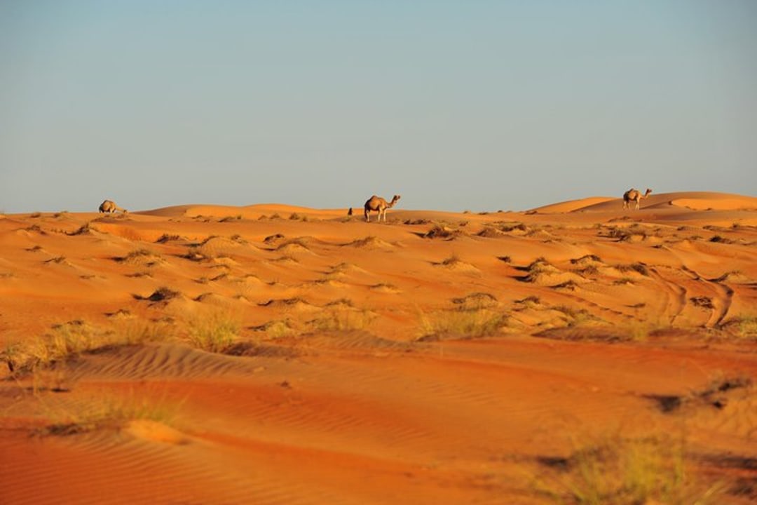 Wahiba Sands dunes, Wadi Fanja photo stop, Bedouin House tents