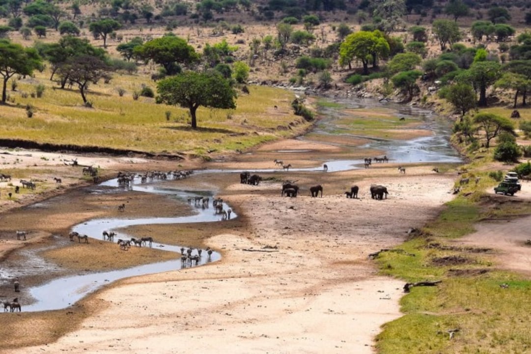 Tarangire National Park baobab trees, Ngorongoro Crater and Soda Lake wildlife, Lake Manyara beneath the Great Rift Valley escarpment