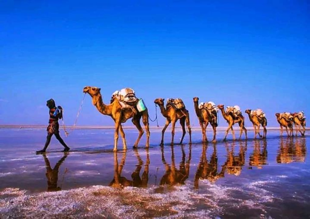 Mount Erta Ale crater, salt flats and camel caravans, Lake Asale, Addis Mercato