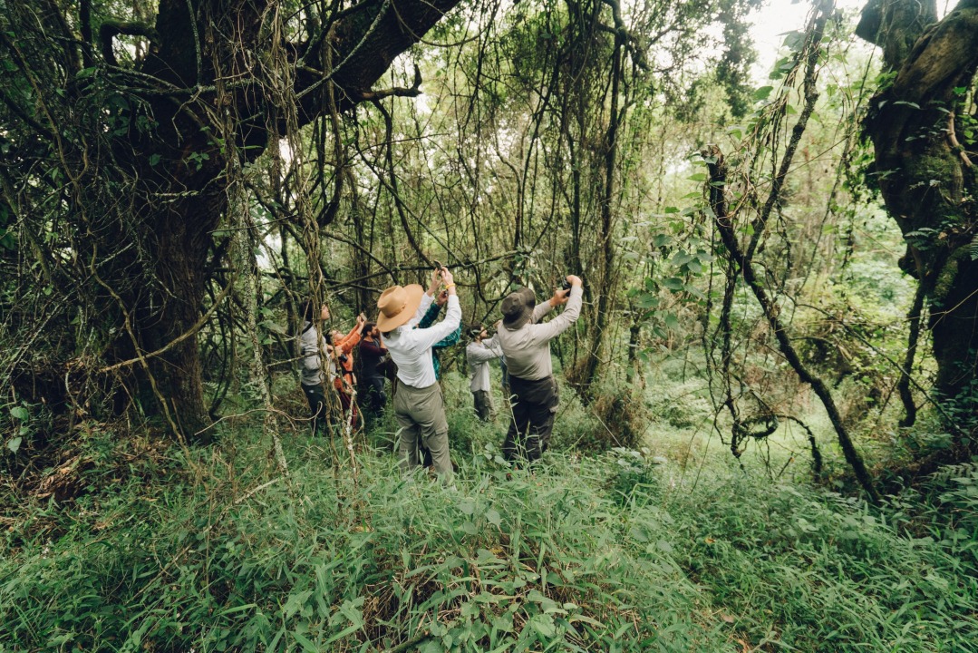 Entebbe, Uganda, equator crossing, Bwindi Impenetrable Forest