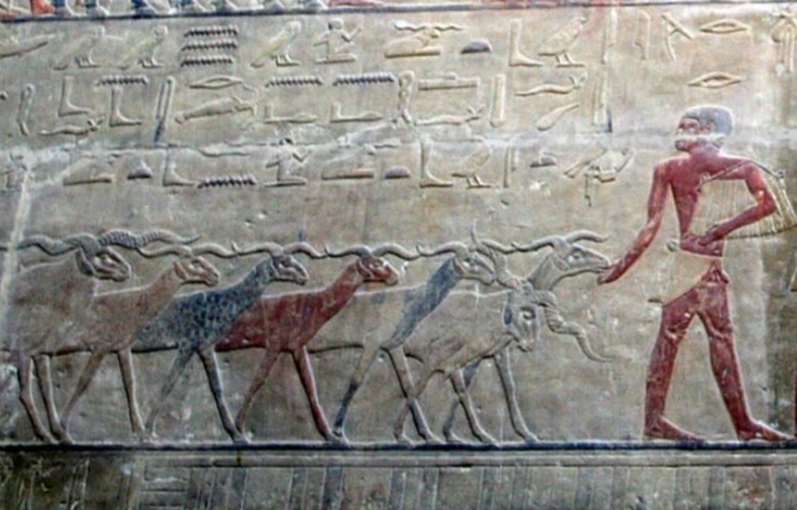 Serapeum of Saqqara, Step Pyramid of Djoser, pyramids of Titi and Onas