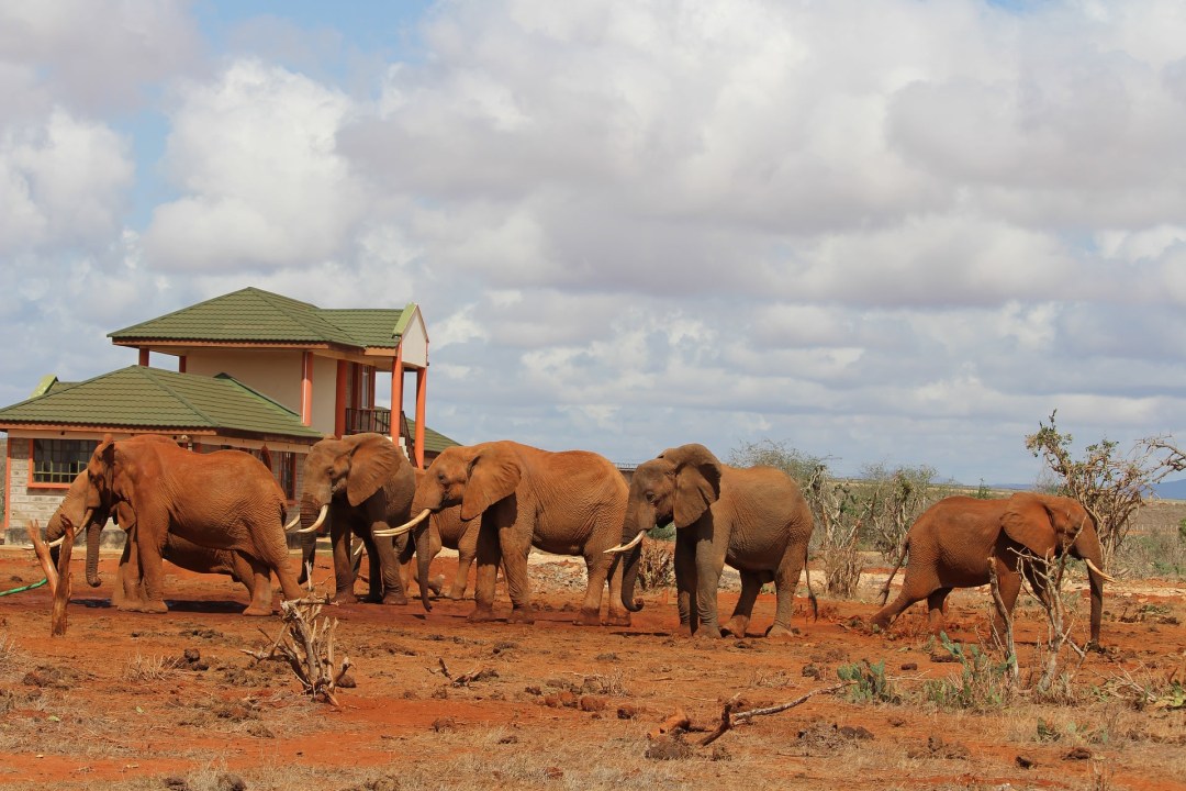 Serengeti National Park plains, Ngorongoro Crater rim, Lake Manyara National Park, Tarangire River