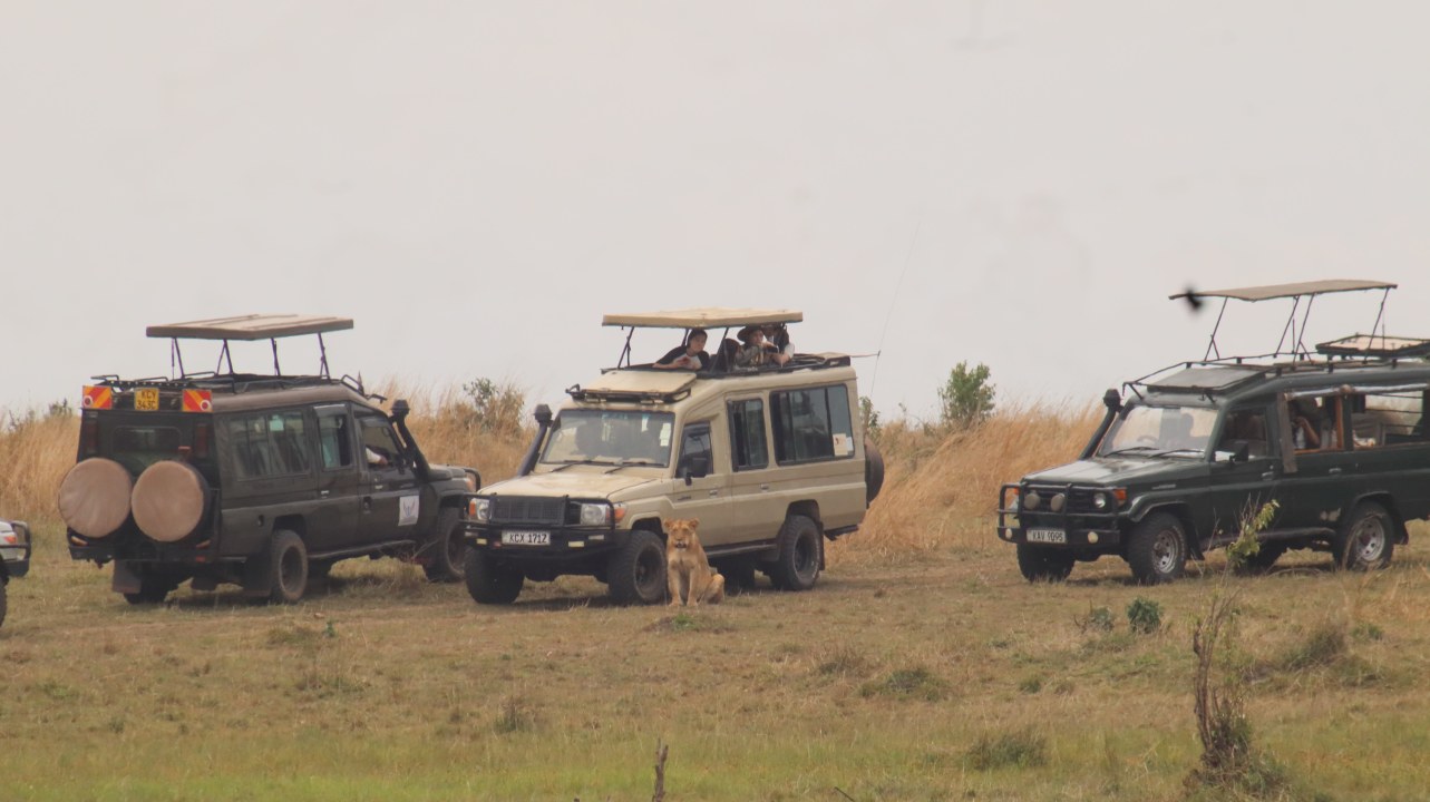 flamingo shores of Lake Nakuru National Park, Masai Mara plains, Great Rift Valley escarpment