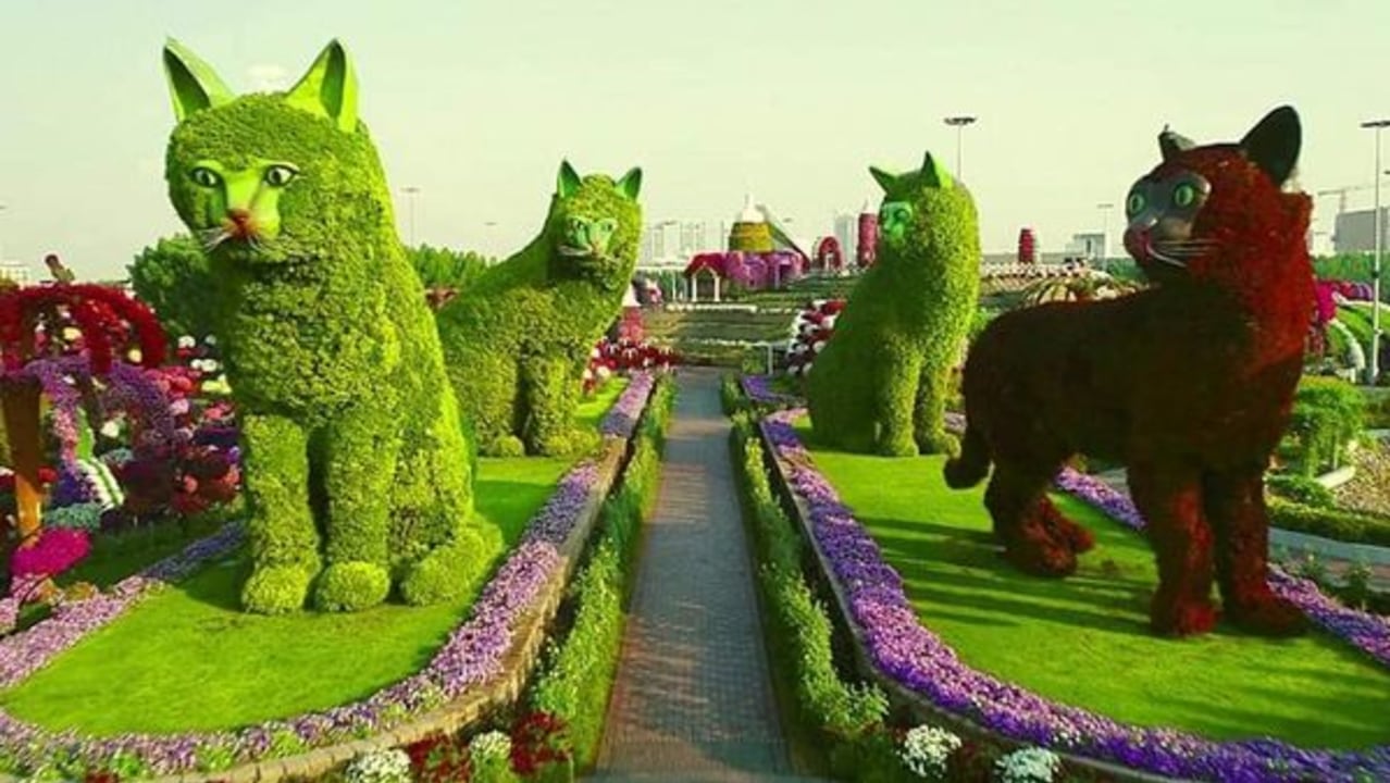 Dubai Miracle Garden, Emirates A380, Smurfs Village, 15-meter floral clock