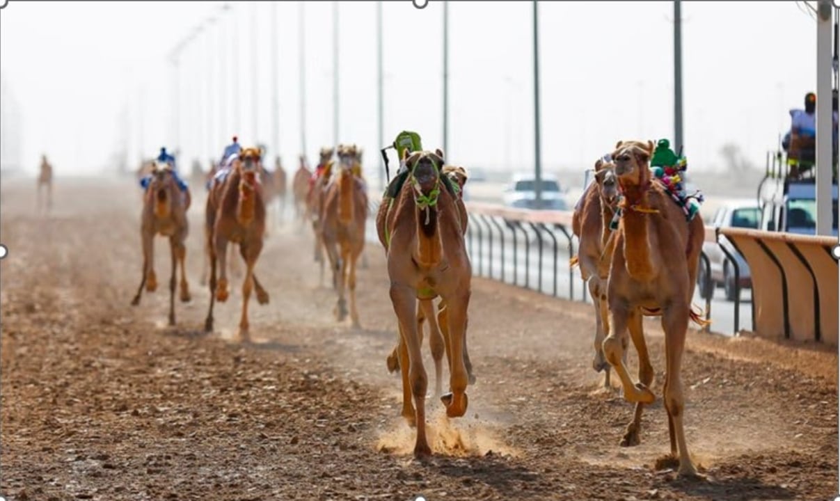 Al Marmoom Camel Racetrack, Al Qudra Lake, Love Lake