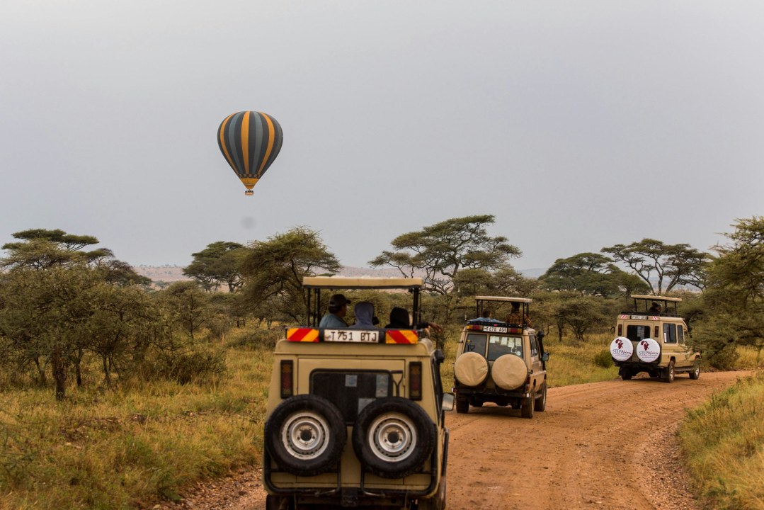 Mara River crossings, Northern Serengeti National Park plains, Ngorongoro Crater rim, Tarangire National Park baobabs