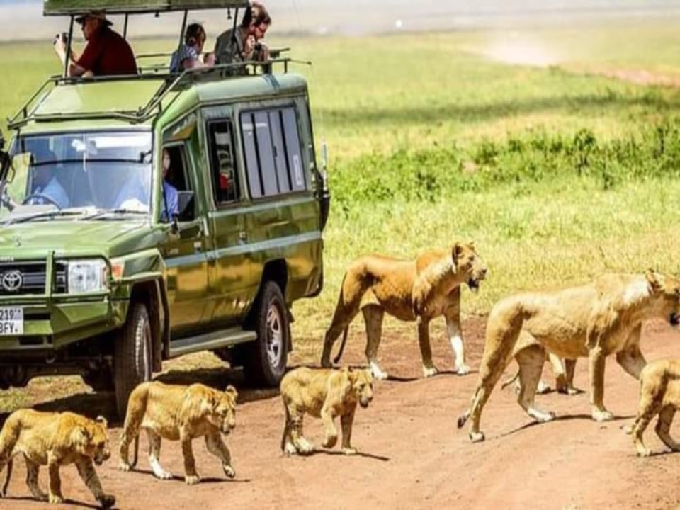 Serengeti National Park, Ngorongoro Crater, Oldupai Gorge