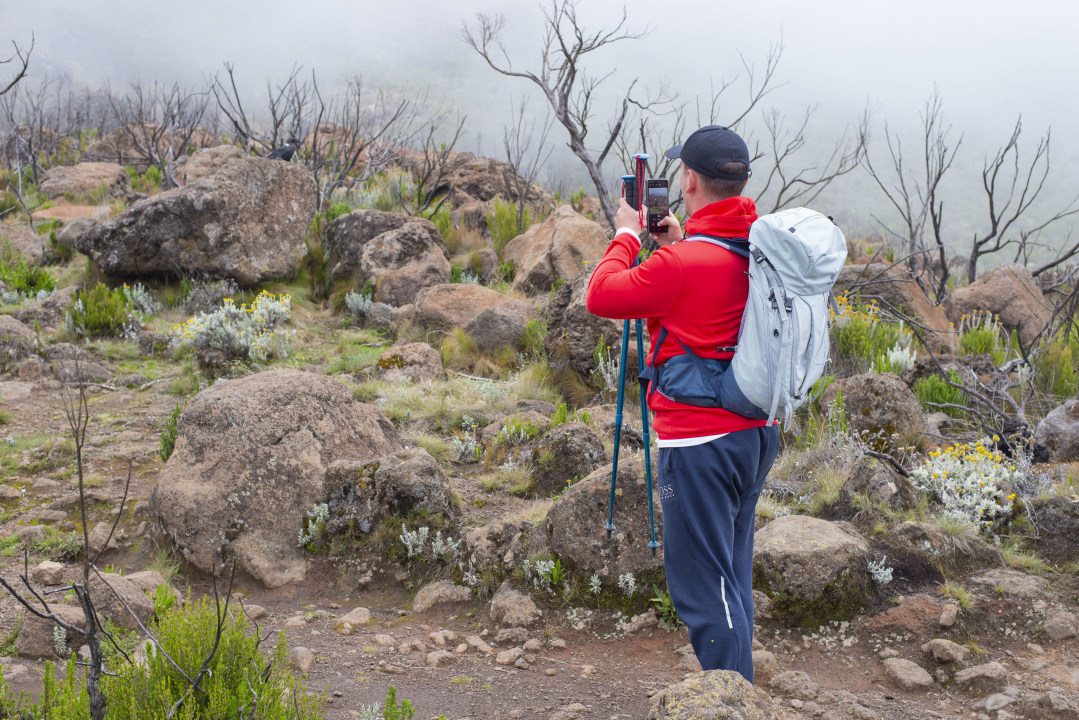 Lemosho Gate rainforest, Shira Plateau, Uhuru Peak