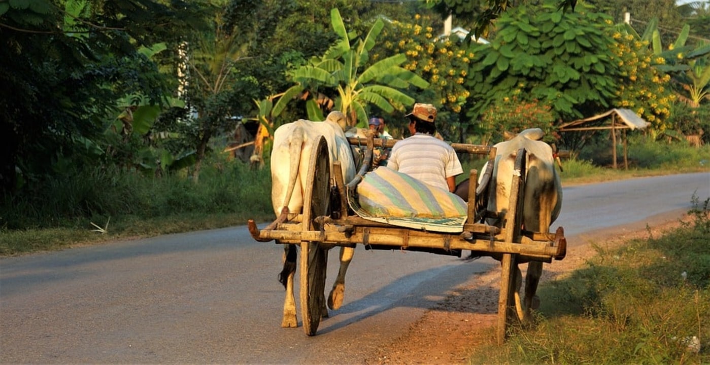 rural villages of Siem Reap, rice fields, Hap Guan St