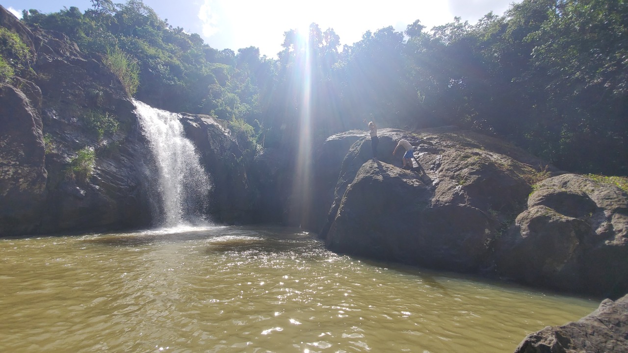 El Yunque National Forest, hardwood tree trails, riverbed pools, majestic waterfalls