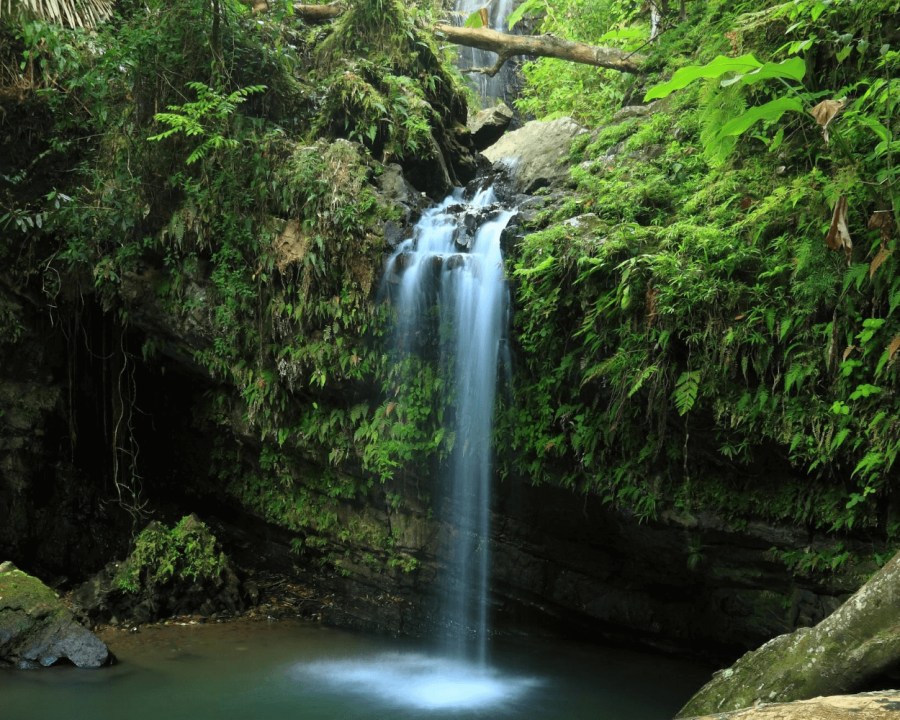 Coca Falls, Yokahu Tower, Baño Oro, Puente Roto