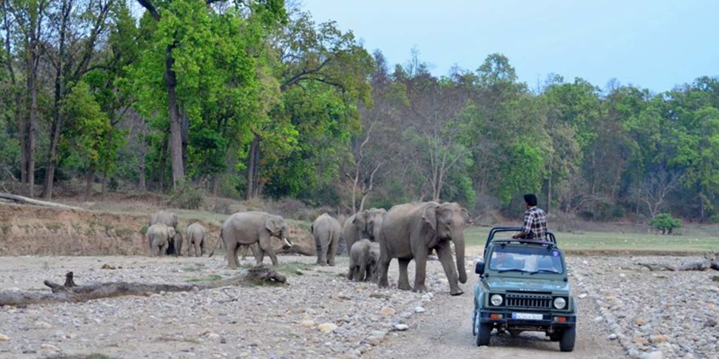 Ranipur Wildlife Sanctuary, Baiga and Kol tribal hamlets, Ken River basin