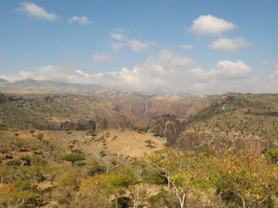 Fa'arah Peak granite summit, Firmhin Forest dragon's blood woodland, Dihamri Marine Protected Area coral reefs