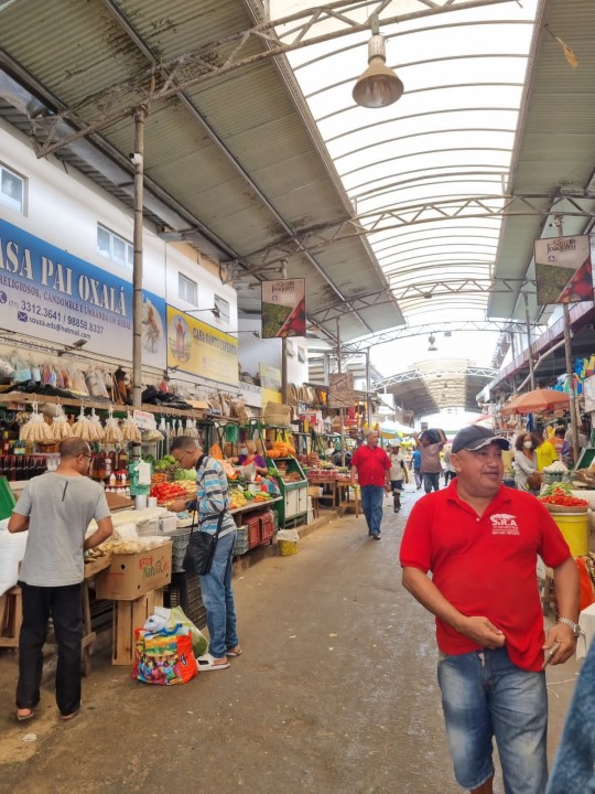 Rio Vermelho, Casa de Iemanjá, São Joaquim Market, Museum of Modern Art of Bahia