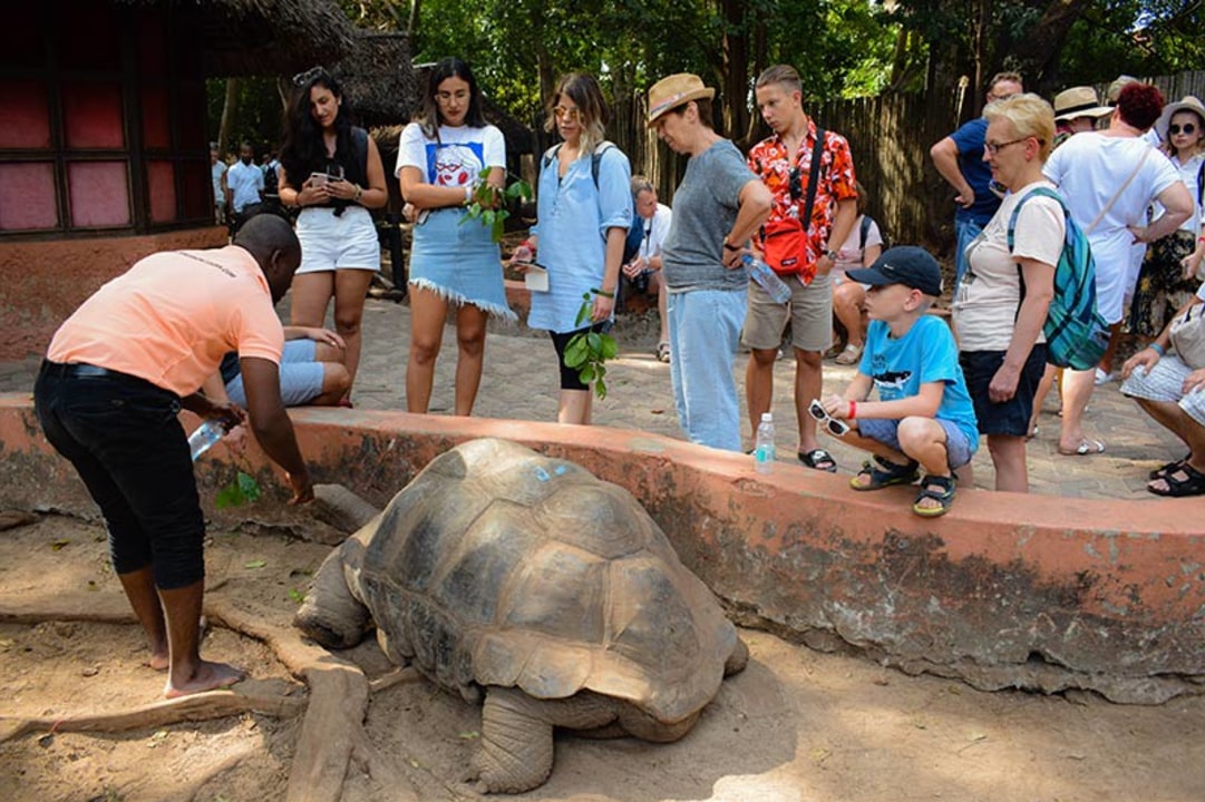 Changuu Island, historic prison ruins, giant tortoise sanctuary, vibrant coral reefs
