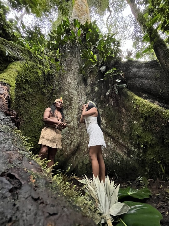 Amazon rainforest, retreat center nestled in the lush jungle between Quito and Tena