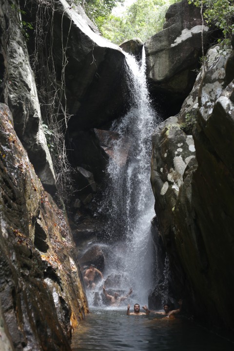 Secret Waterfall, My Son Sanctuary, paddy fields and rainforest