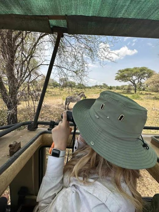 Tarangire National Park elephant herds, Serengeti National Park plains, Ngorongoro Crater floor, Lake Manyara National Park birdlife