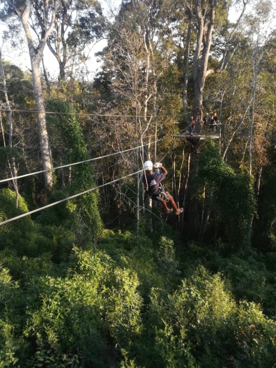 Tsitsikamma National Park suspension bridges, Storms River Bridge bungee, Addo Elephant Park sunset game drives