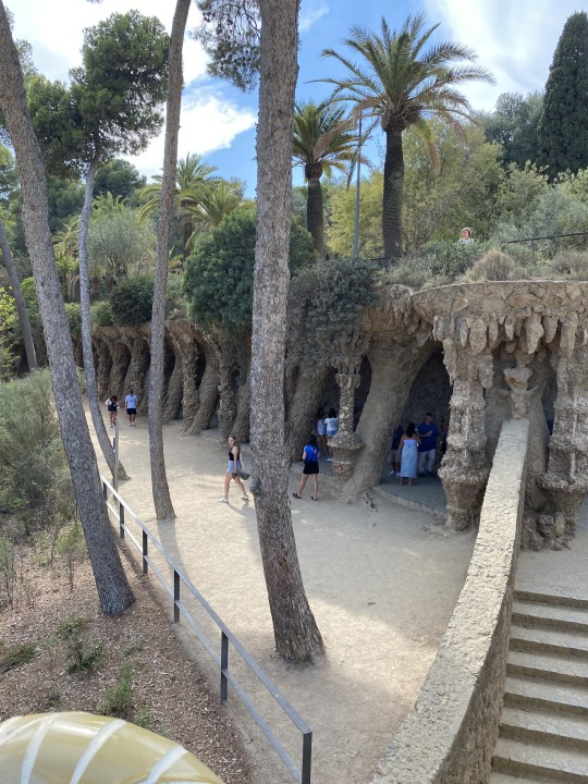 Park Güell, Salamander, Hypostyle Room, Terrace of the Mediterranean