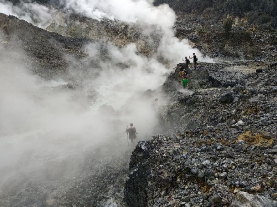 Mount Halimun Salak National Park, rice terraces, crater, lava floor