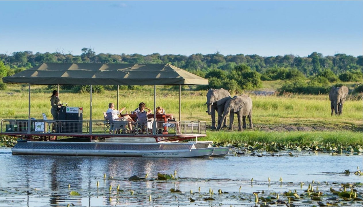 upper Zambezi, Victoria Falls sunset, shallow waters with elephants