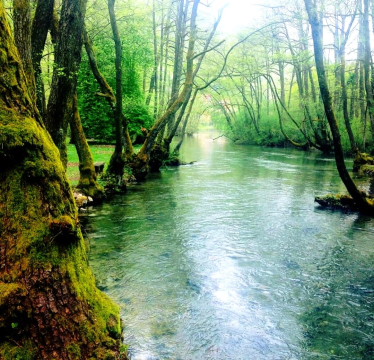 Trebević slopes, Igman slopes, Bjelašnica ridges, Spring of the River Bosna