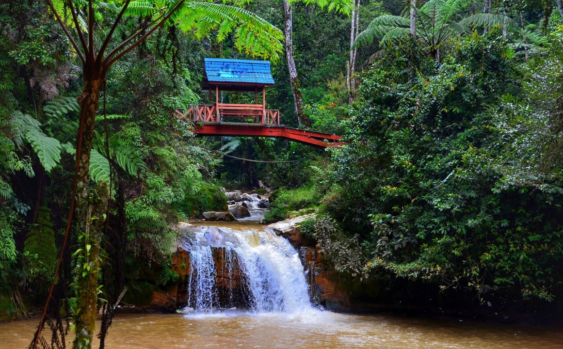 Cameron Highlands tea plantations, Batu Caves steps, Butterfly Farm &amp; Insectarium