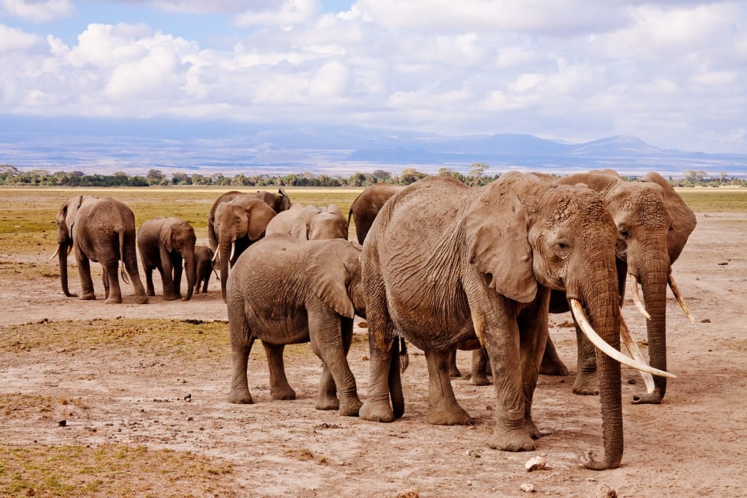 Masai Mara, Great African Rift Valley escarpment, Narok