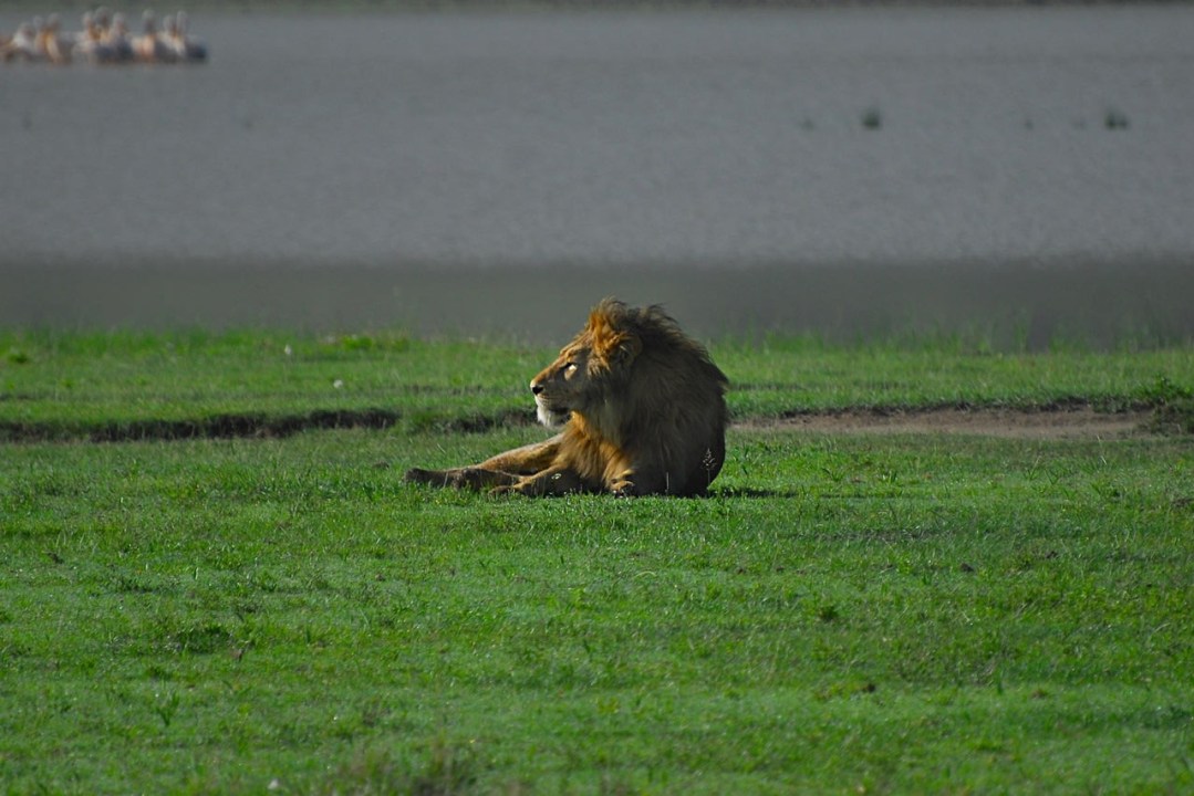 Amboseli National Park, Observation Hill, Mount Kilimanjaro