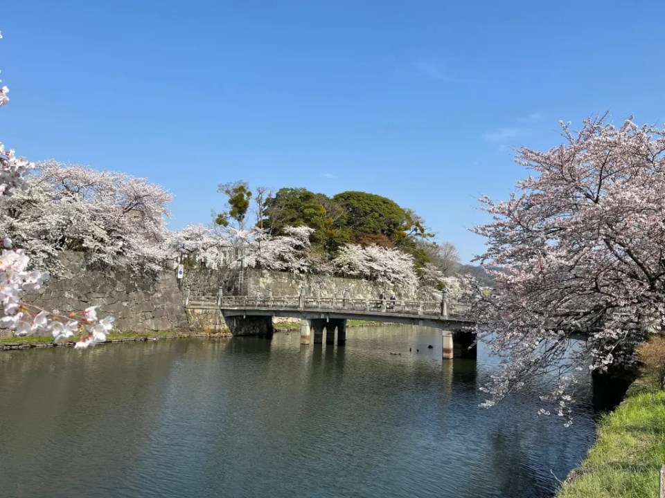 Hikone Castle, Yumekyobashi Castle Road, Nagahama Castle, Kurokabe
